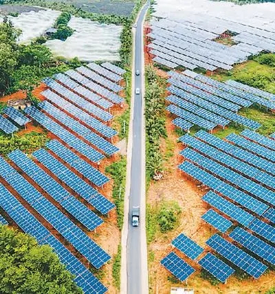 为光伏企业气候行动“打分”