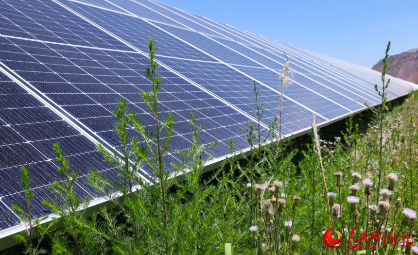 以“绿”赋能 河北新能源产业“追光逐日”