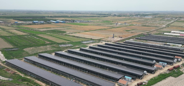 光伏+九亮农业丨华为150K助力“牧光互补”年发电700万度