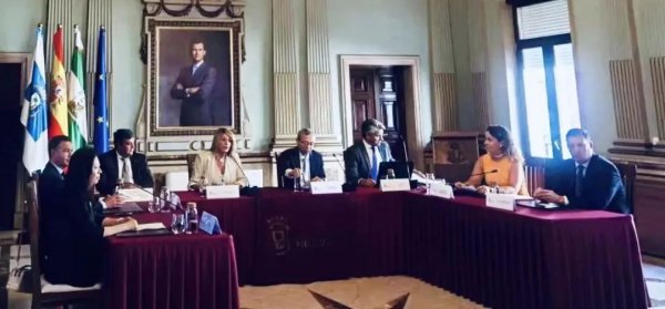 天合集团与西班牙Arbro集团签署160MW绿氢项目战略合作