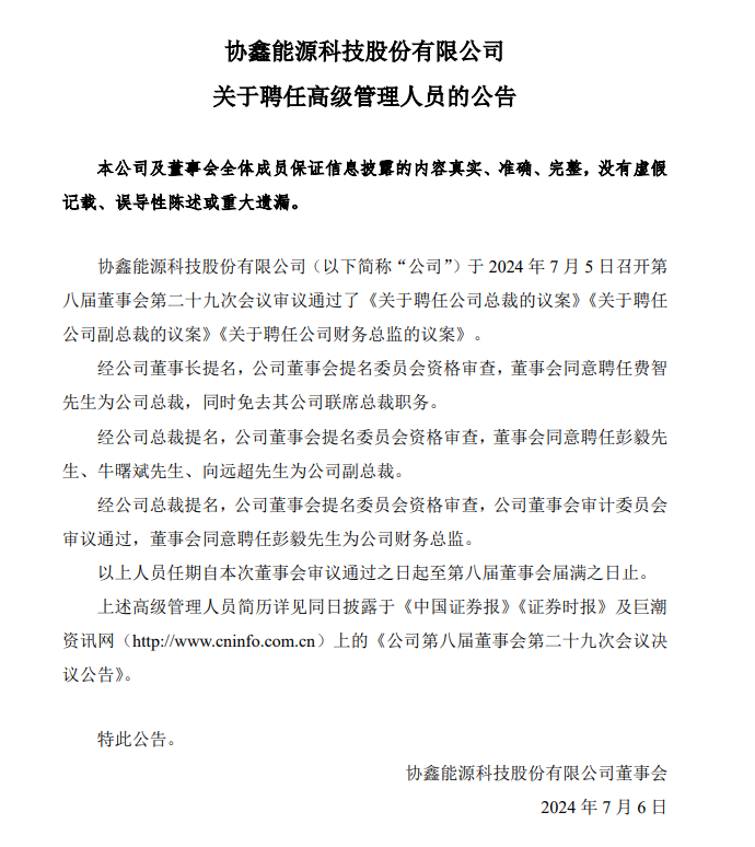 费智出任协鑫能科总裁