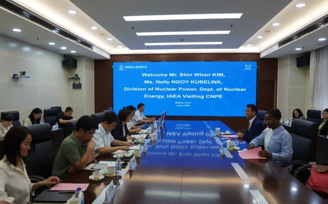 国际原子能机构核能部核电工程处处长一行访问中核工程