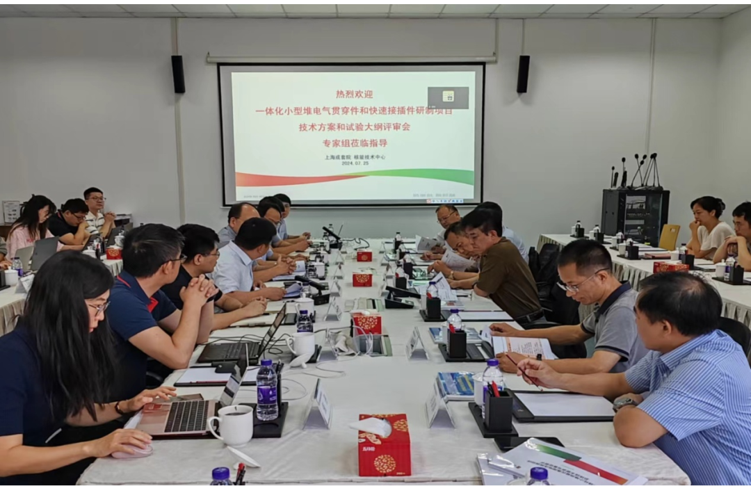 “一体化小型堆电气贯穿件和快速接插件研制”项目技术方案和鉴定