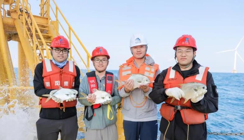 “明渔一号”第二季规模化养殖示范成功收鱼！