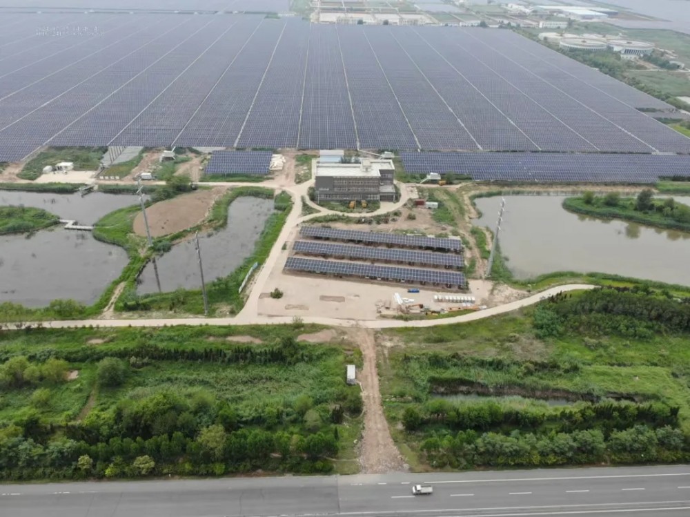 高唐通威200MWp“渔（农）光一体”生态立体开发田园综合体