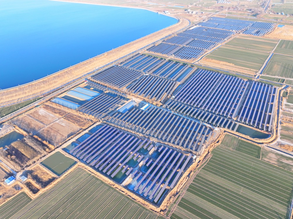 中国能建建筑集团承建的广东德州武城130兆瓦渔光互补光伏项目