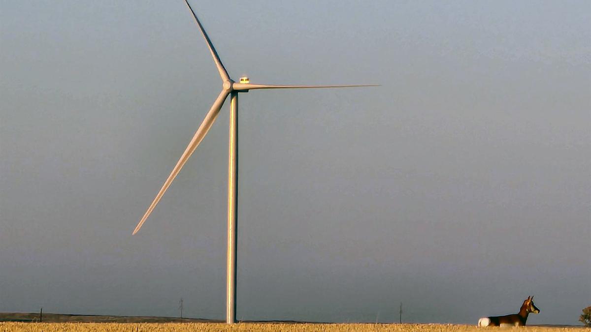 加拿大艾伯塔省Forty Mile风电场部分并网发电