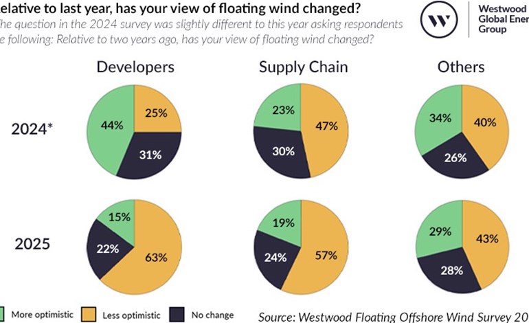 韦斯特伍德：浮动海上风电正在缩减