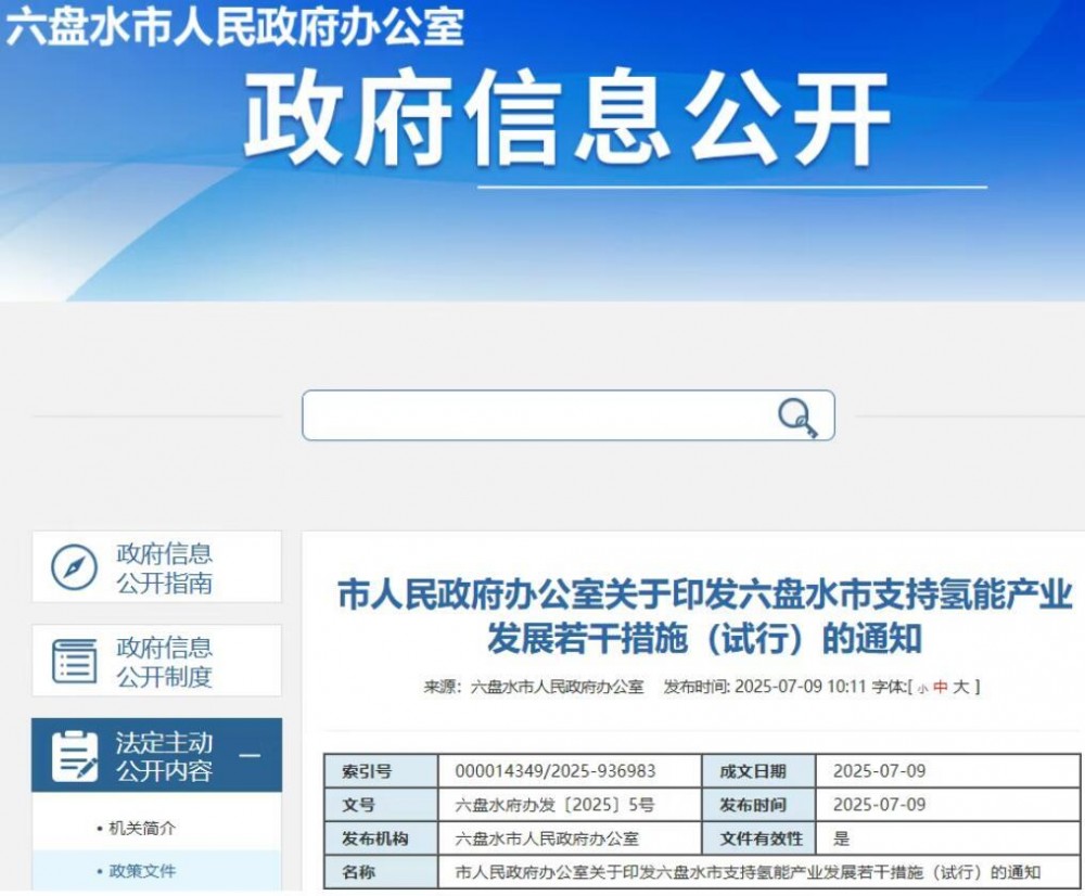 百万补贴！贵州六盘水出台10条措施支持氢能！