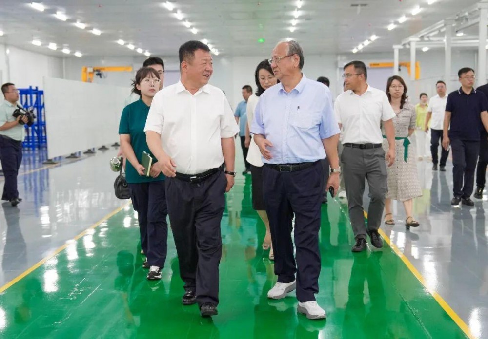 中国工程院院士丁文江走进鹏飞！拓展氢能产业合作深度和广度