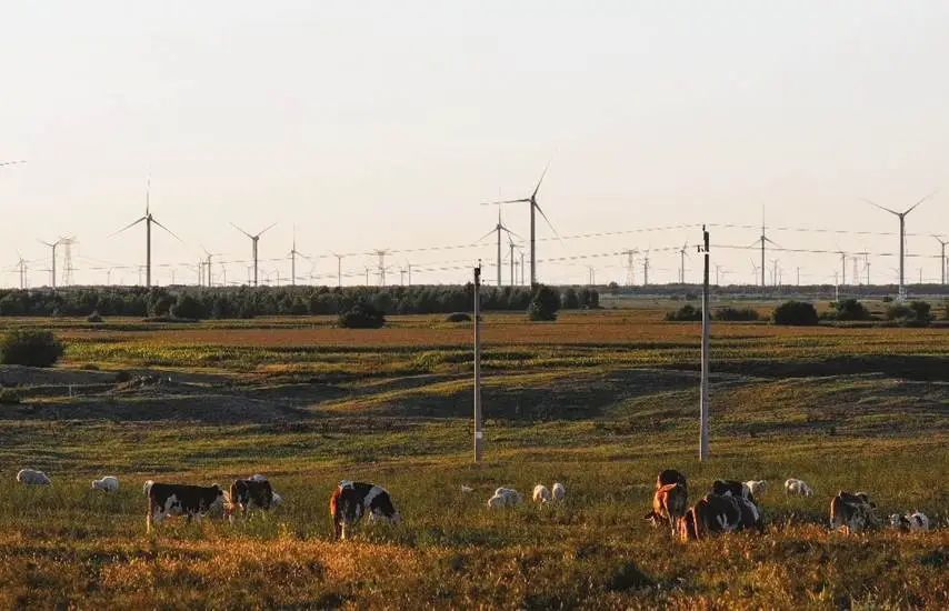 并网一年余，协合运维让百万千瓦风电“转”得安心