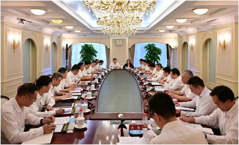 中国大唐领导会见中国能建首席科学家