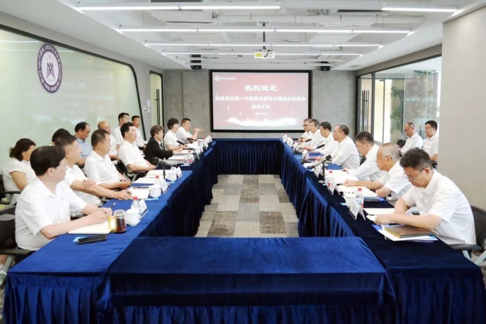 中国能建倪真与中电建协会长王思强会谈