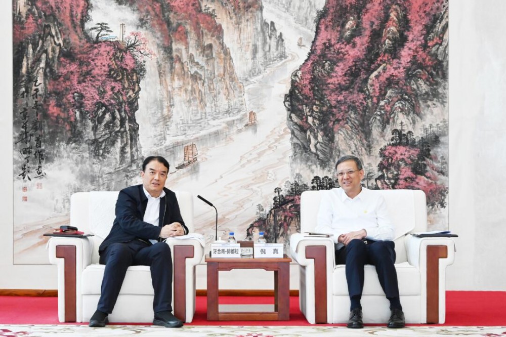 倪真与新疆乌鲁木齐市委副书记、市长牙合甫·排都拉会谈！深化绿