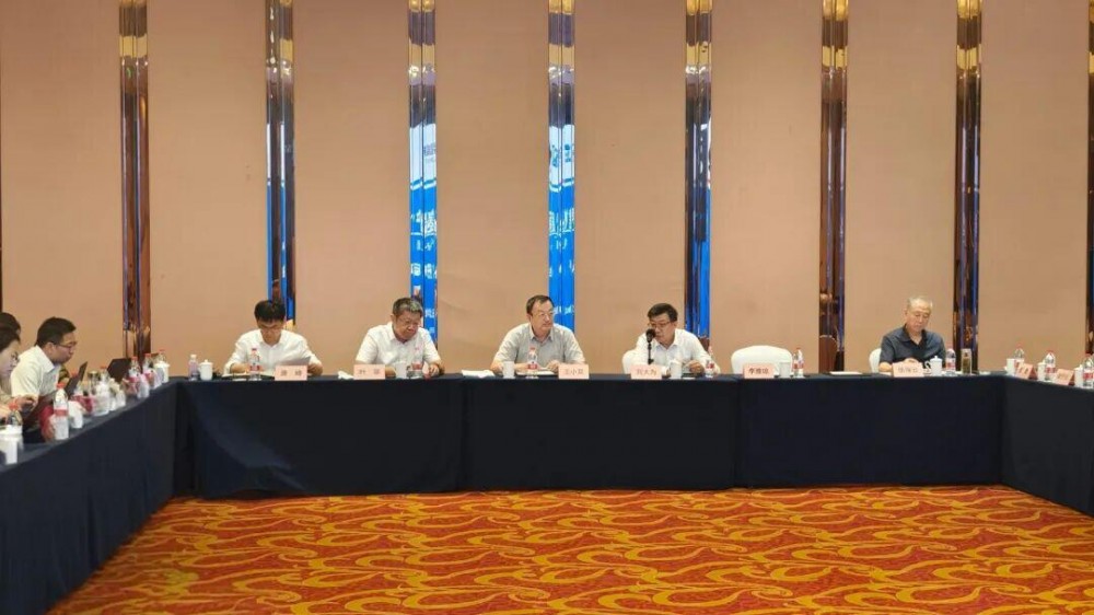 中能建松原氢能产业园（绿色氢氨醇一体化）项目二期可研通过评审