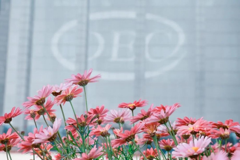 东方电气成功实施超十亿港元配售