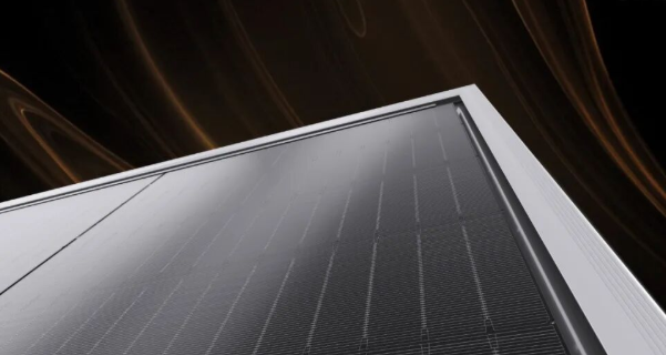 晶科能源飞虎3高效组件供应法国分布式光伏市场